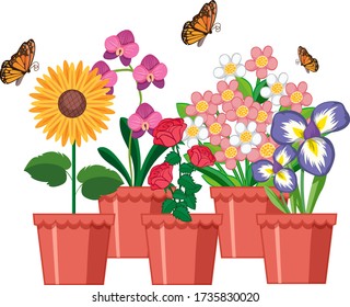 Beautiful flowers in the garden on white background illustration