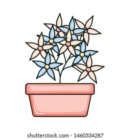 beautiful flowers garden in square ceramic pot