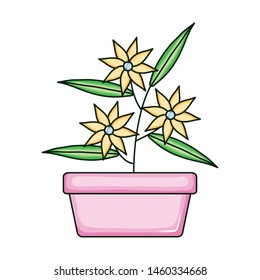 beautiful flowers garden in square ceramic pot