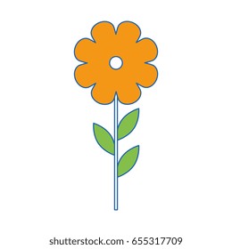 Beautiful flowers gardening