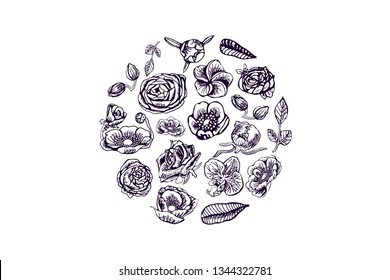 Beautiful flowers, hand drawn in circle on white background. For greeting card, design.