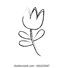 beautiful flowers icon