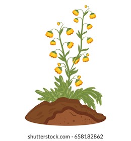beautiful flowers icon