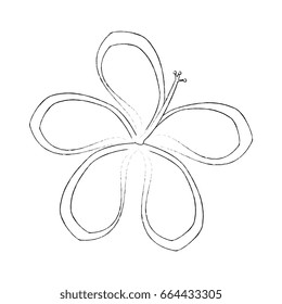 Beautiful flowers icon