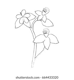 Beautiful flowers icon