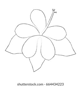 Beautiful flowers icon