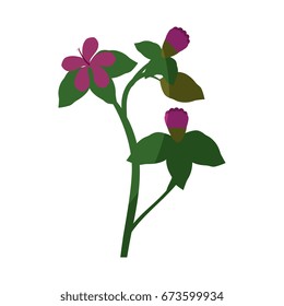 Beautiful flowers icon