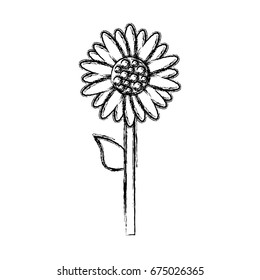 beautiful flowers icon