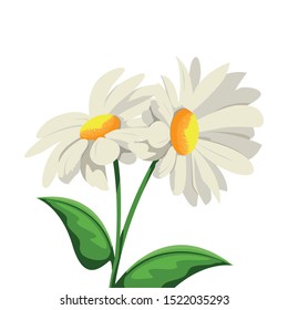 beautiful flowers icon over white background, vector illustration