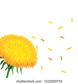 beautiful flowers icon over white background, vector illustration
