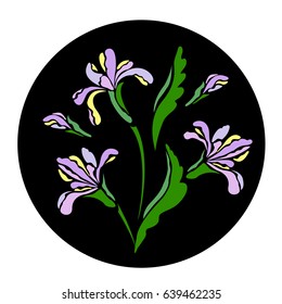 Beautiful flowers irises in flat style on a black background.Vector illustration.