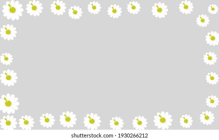 Beautiful flowers isolate on background.Invitation background.Template Background Design.Greeting card, poster.Valentine Day, Birthday .copy space for your text.