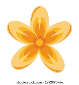 Beautiful flowers isolated