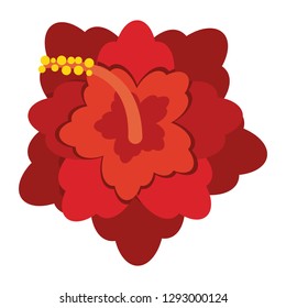 Beautiful flowers isolated
