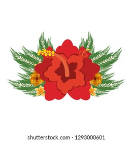Beautiful flowers isolated