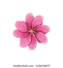 beautiful flowers isolated icon vector illustration design