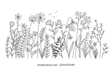 Beautiful flowers isolated on white background. vector illustration