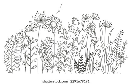 Beautiful flowers isolated on white background. vector illustration