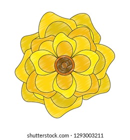 Beautiful flowers isolated scribble