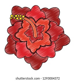 Beautiful flowers isolated scribble