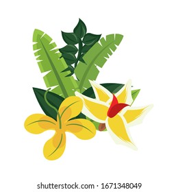 beautiful flowers with leafs decoration vector illustration design