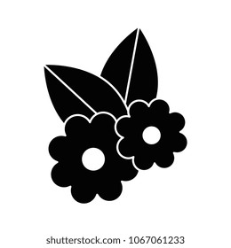 beautiful flowers with leafs decorative