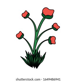 beautiful flowers with leafs garden vector illustration design