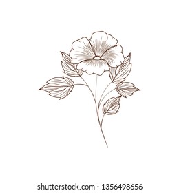 beautiful flowers with leafs isolated icon