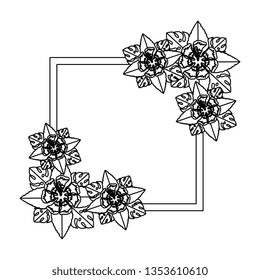 beautiful flowers and leafs square frame