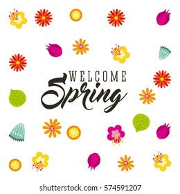 beautiful flowers and leaves over white background. spring season concept. colorful design. vector illustration