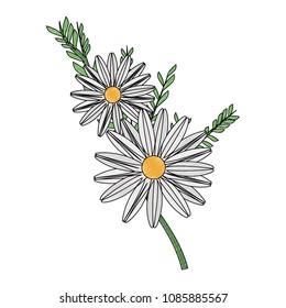 Beautiful flowers with leaves scribble