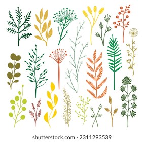 beautiful flowers leaves white background