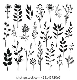 beautiful flowers leaves white background