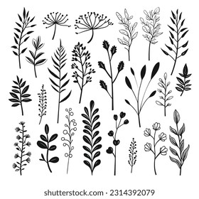beautiful flowers leaves white background