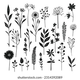 beautiful flowers leaves white background