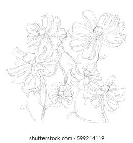 beautiful flowers line art continuous line drawing 