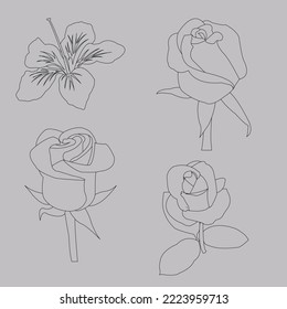 Beautiful Flowers Line Art vector Designs.