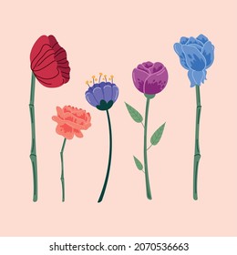 beautiful flowers nature five icons