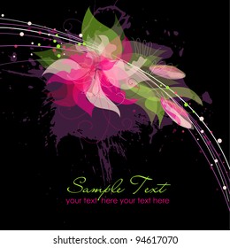 Beautiful Flowers on black Background