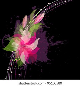 Beautiful Flowers on black Background