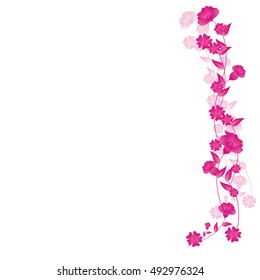 beautiful flowers, on a white