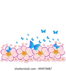 beautiful flowers, on a white