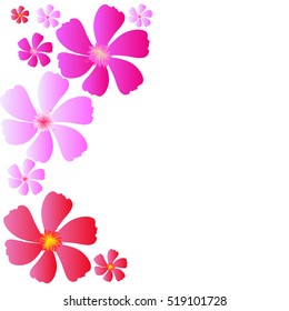 beautiful flowers, on a white