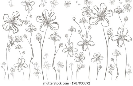 beautiful flowers on a white background