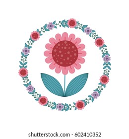 beautiful flowers over white background. colorful design. vector illustration