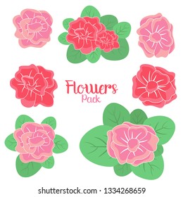 Beautiful flowers pack vector design illustration isolated on white background