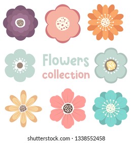 Beautiful flowers pack vector design illustration isolated on white background
