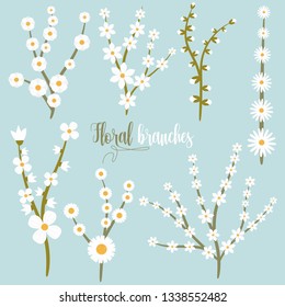 Beautiful flowers pack vector design illustration isolated on white background