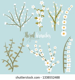 Beautiful flowers pack vector design illustration isolated on white background