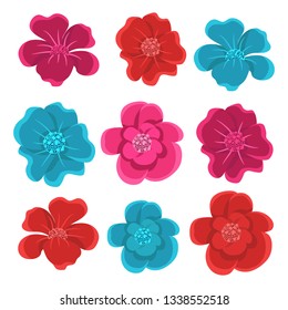 Beautiful flowers pack vector design illustration isolated on white background